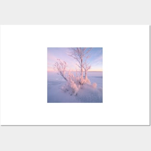 Winter spirit trees Posters and Art